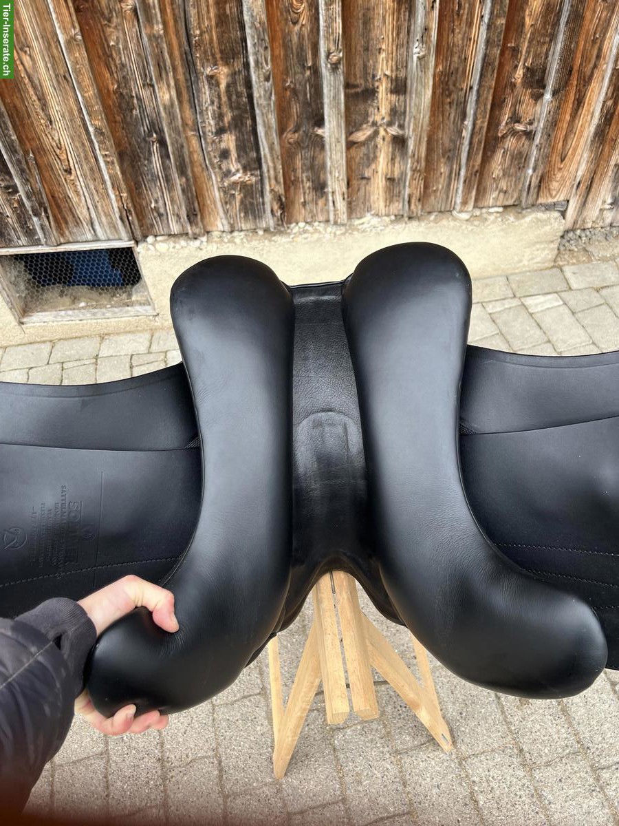 Bild 3: Sommer Diplomat Dressursattel 17.5 Zoll