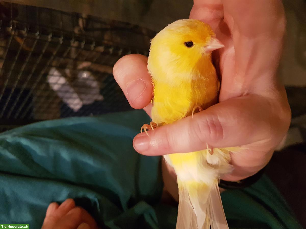 Bild 3: Speedy Service, die Haus- & Tier-/Kleintierbetreuung seit 1995