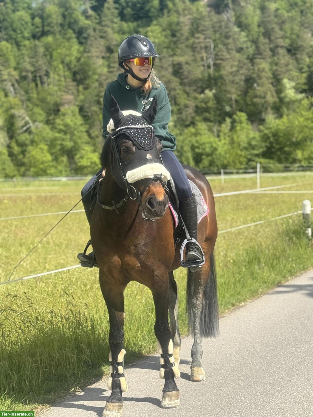 Bild 3: Reitbeteiligung in Arnegg auf sportlichem Wallach