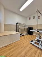 Raum zur Mitbenutzung für selbstständige Hundecoiffeuse, Wimmis BE