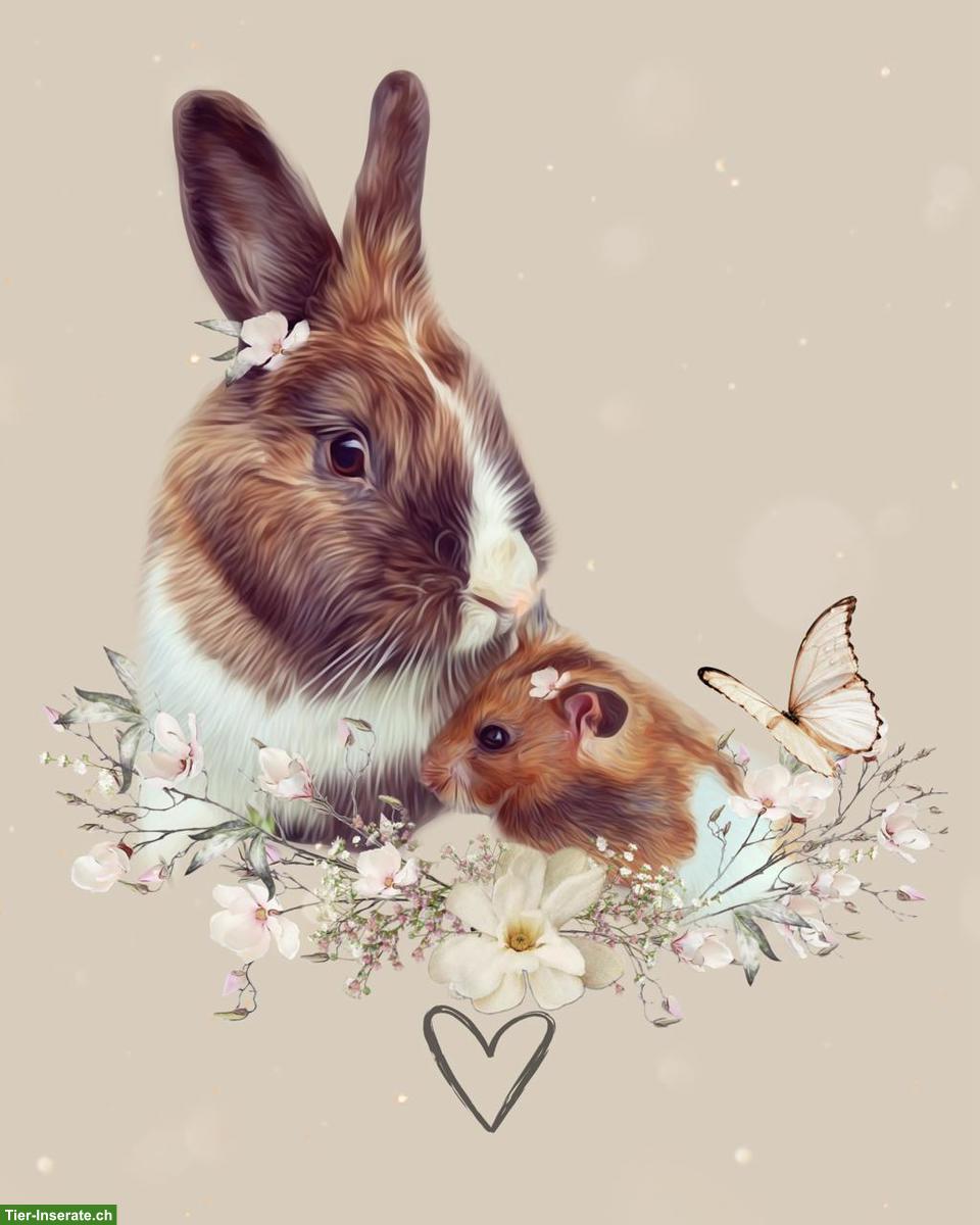 Biete Ferienbetreuung für Hamster/Zwerghamster