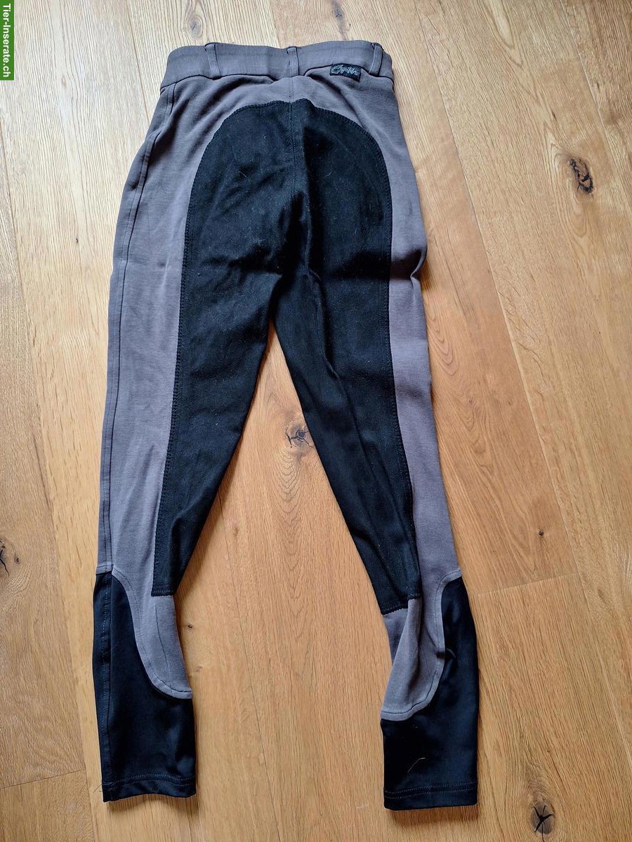 Bild 2: Equilibre Reithose, Grösse 34, wenig getragen