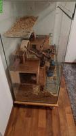 Grosses Nagerterrarium zu verkaufen