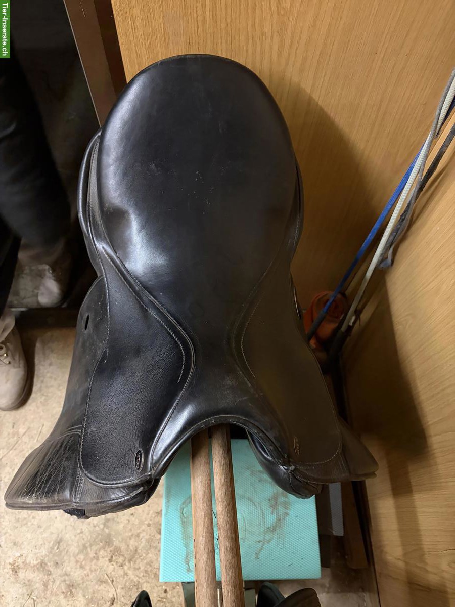 Bild 3: M.I.S.S. Dressursattel 18 Zoll zu verkaufen