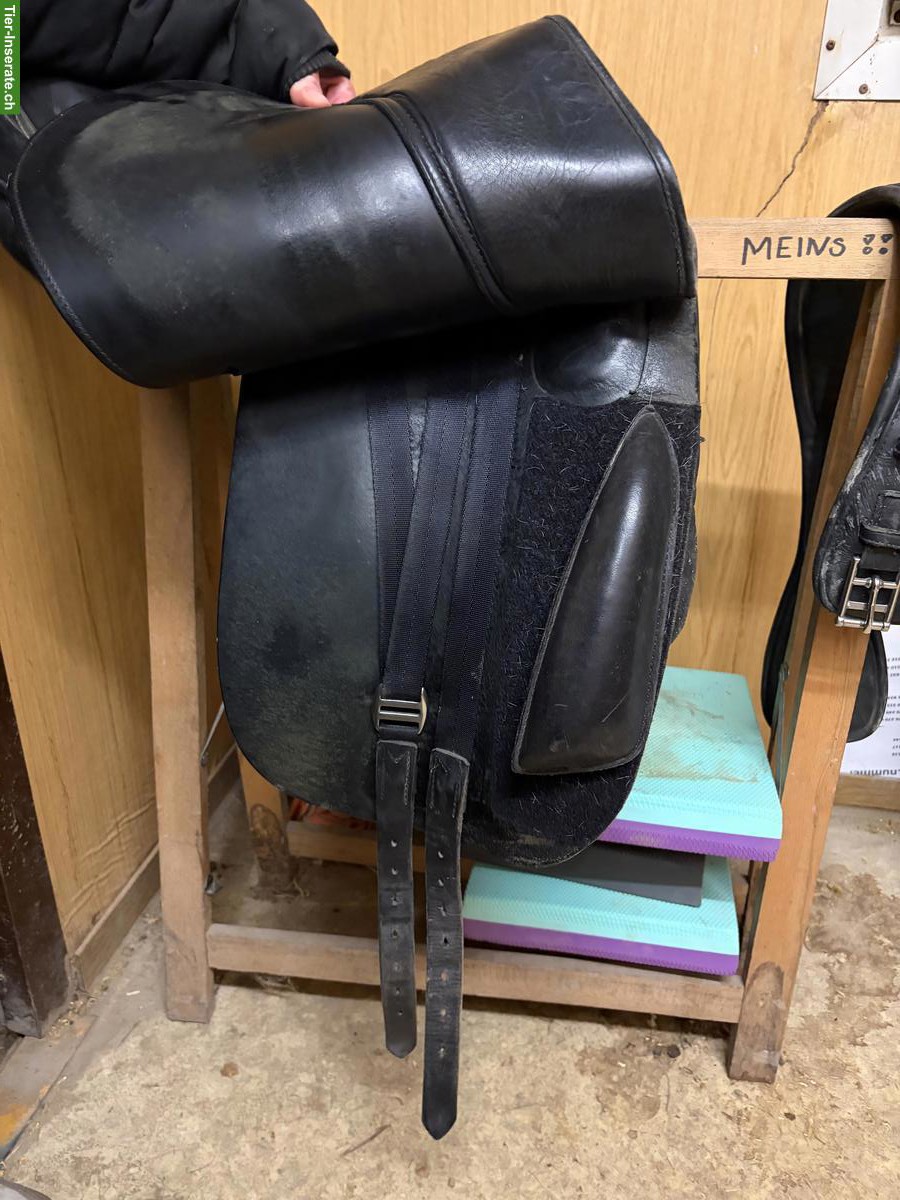 Bild 4: M.I.S.S. Dressursattel 18 Zoll zu verkaufen