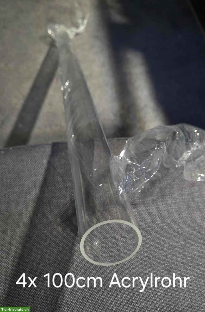 Bild 2: Formicarium Ameisenfarm Set zu verkaufen