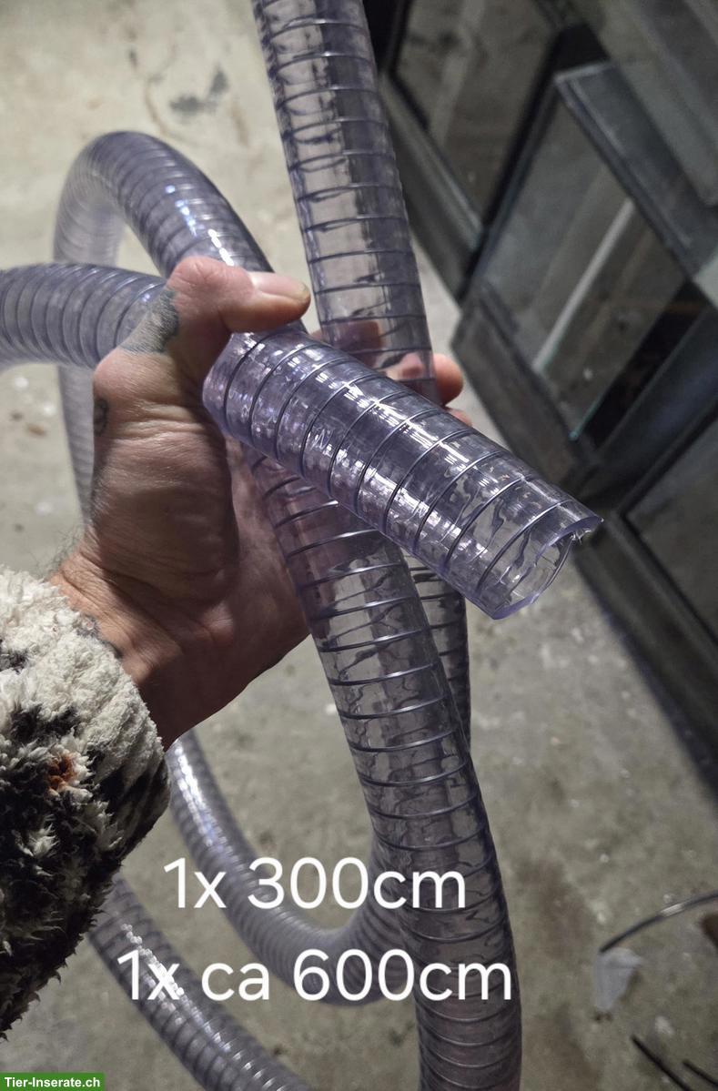 Bild 3: Formicarium Ameisenfarm Set zu verkaufen