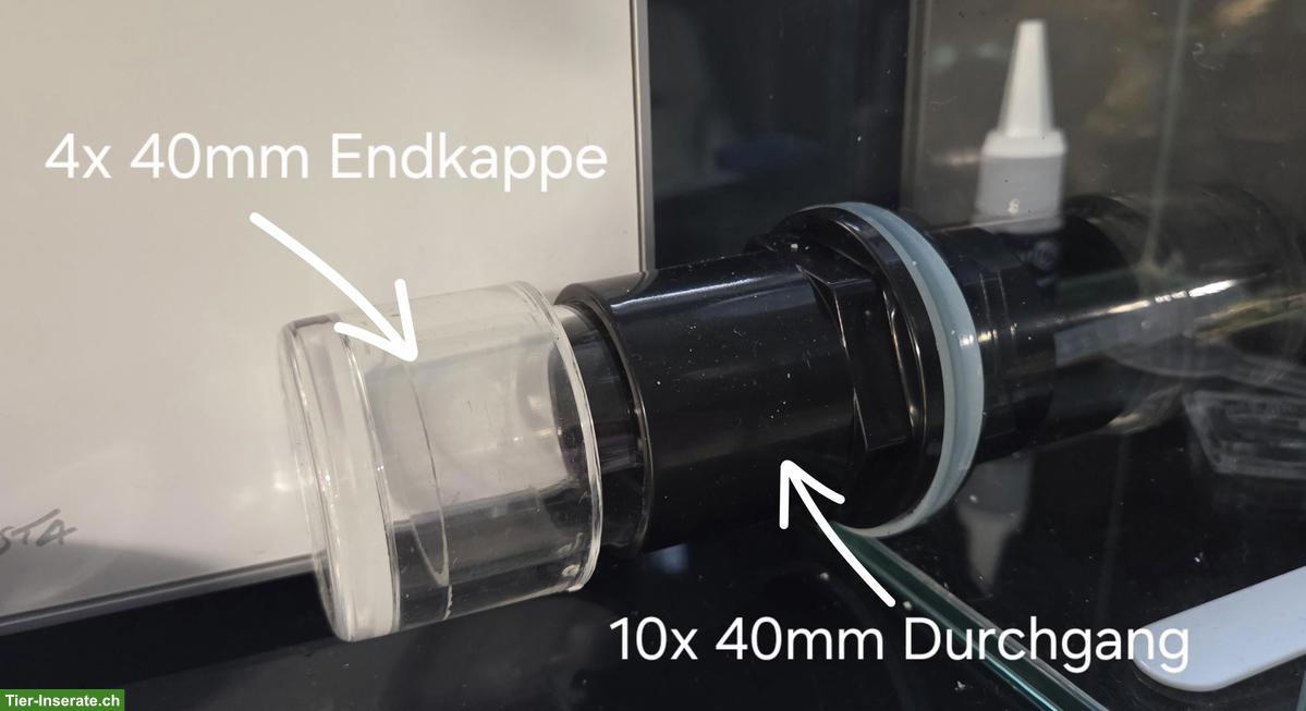 Bild 4: Formicarium Ameisenfarm Set zu verkaufen