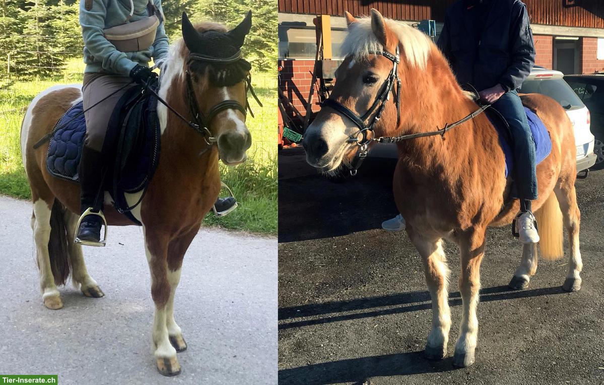 Reit-, Spazier- und Pflegebeteiligung in Rümlang ZH