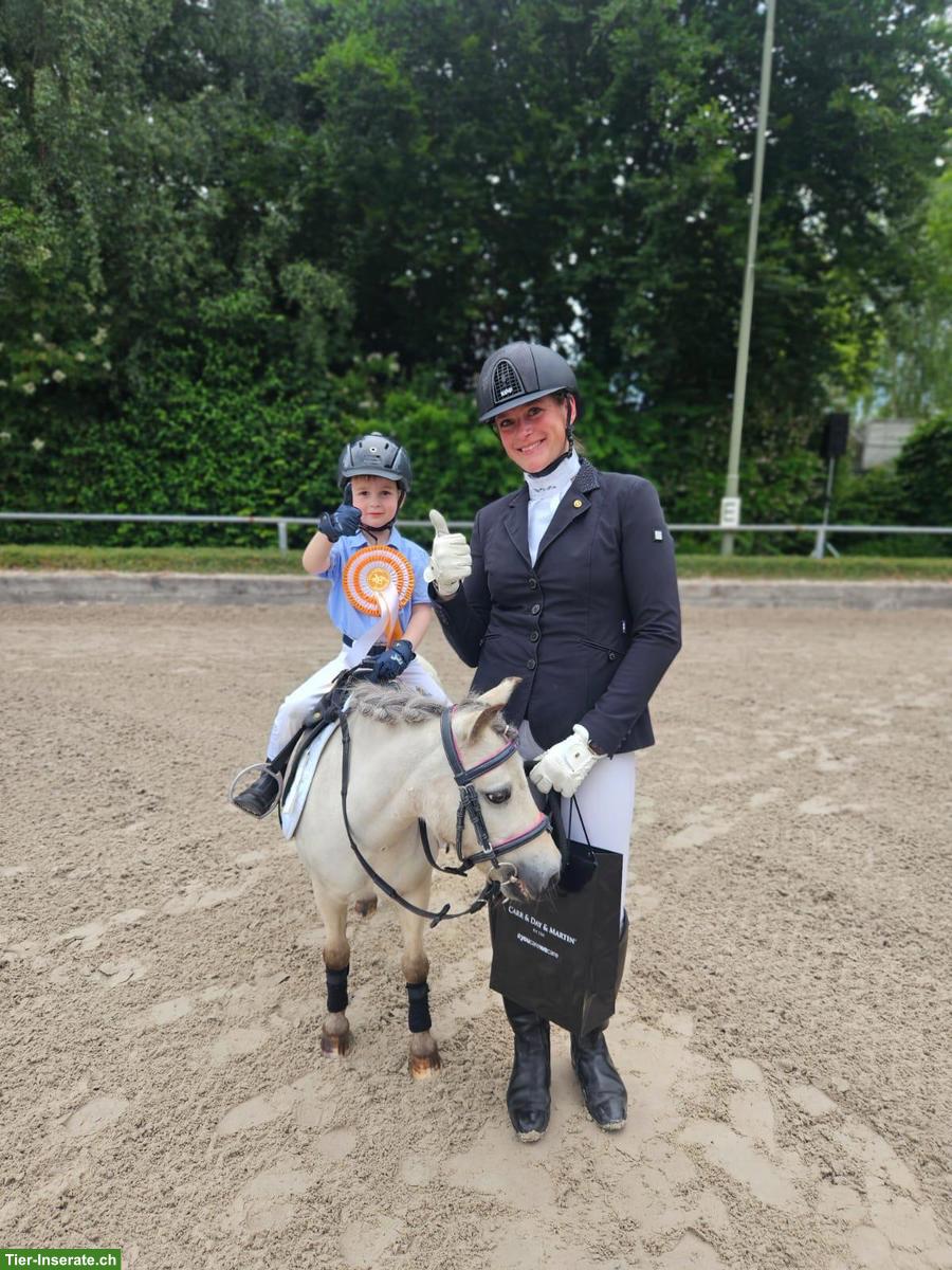 Individueller Reitunterricht im Kanton Luzern