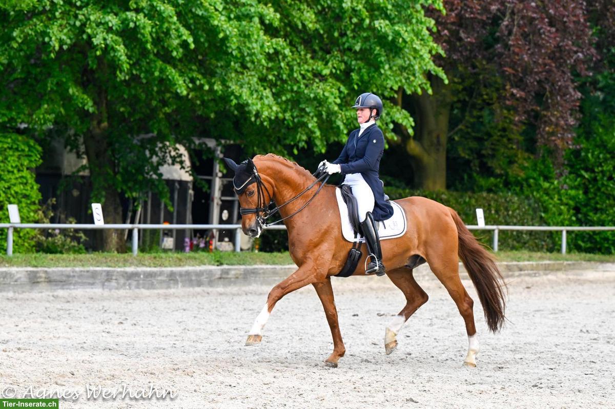 Bild 2: Individueller Reitunterricht im Kanton Luzern