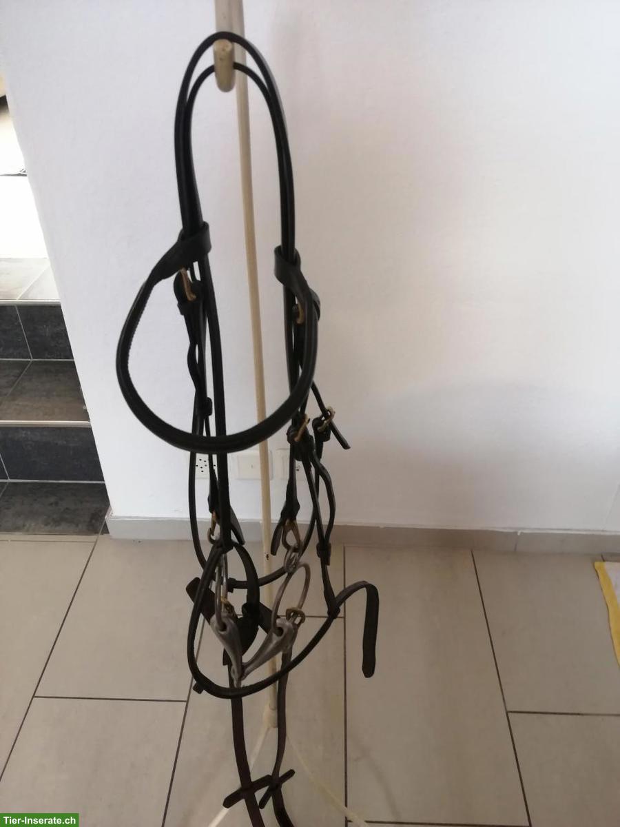 Reitzaum aus braunem Leder mit Zügel, WB, zu verkaufen