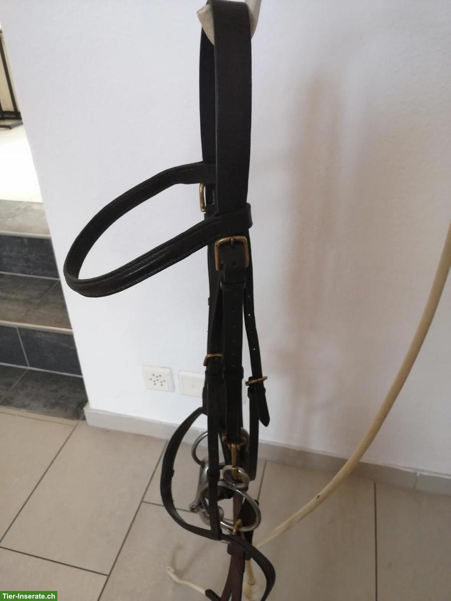 Bild 2: Reitzaum aus braunem Leder mit Zügel, WB, zu verkaufen