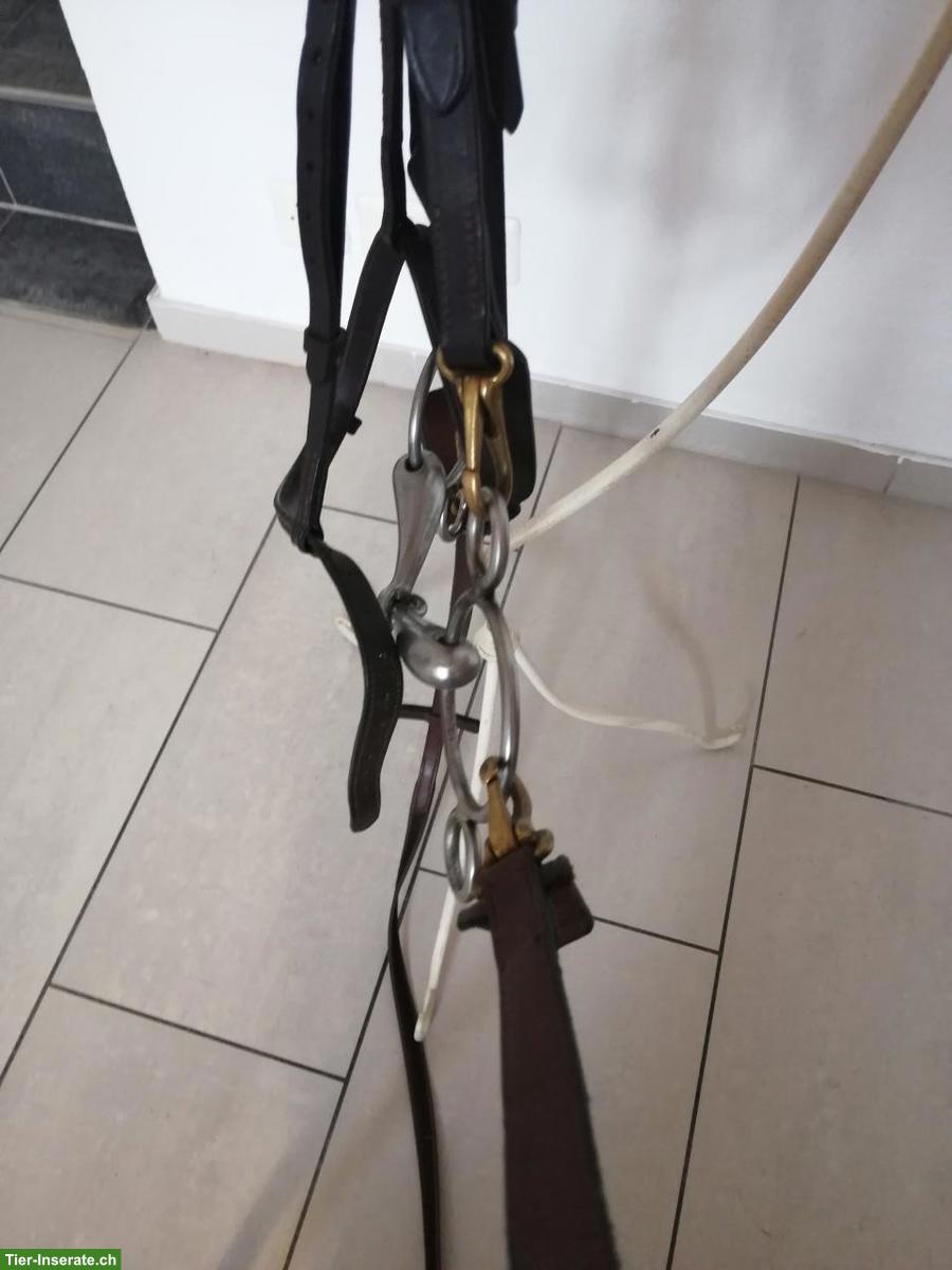 Bild 3: Reitzaum aus braunem Leder mit Zügel, WB, zu verkaufen