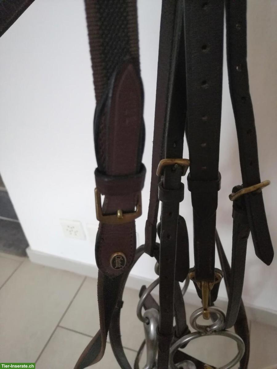 Bild 4: Reitzaum aus braunem Leder mit Zügel, WB, zu verkaufen