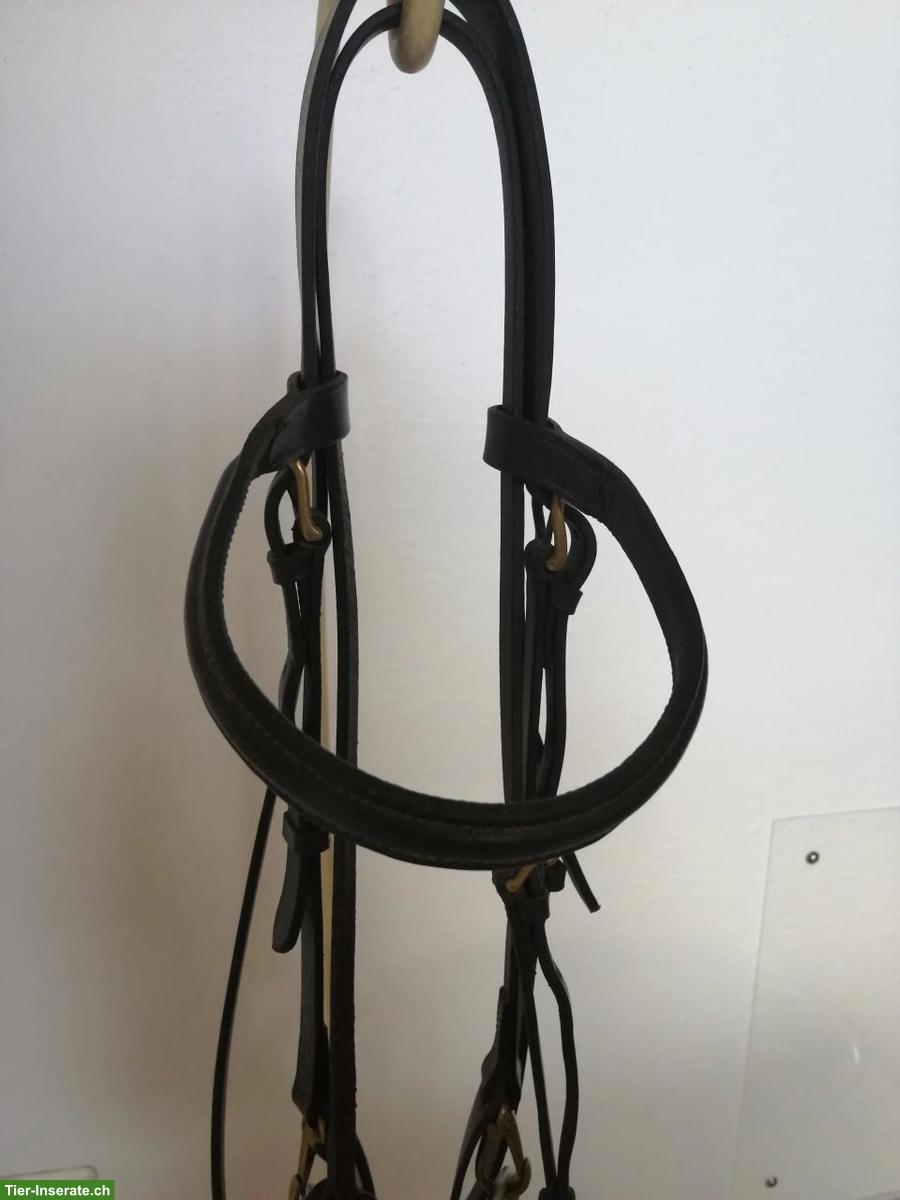 Bild 6: Reitzaum aus braunem Leder mit Zügel, WB, zu verkaufen