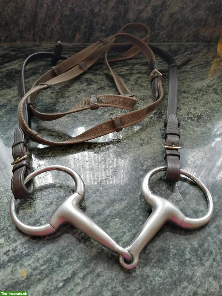 Bild 8: Reitzaum aus braunem Leder mit Zügel, WB, zu verkaufen