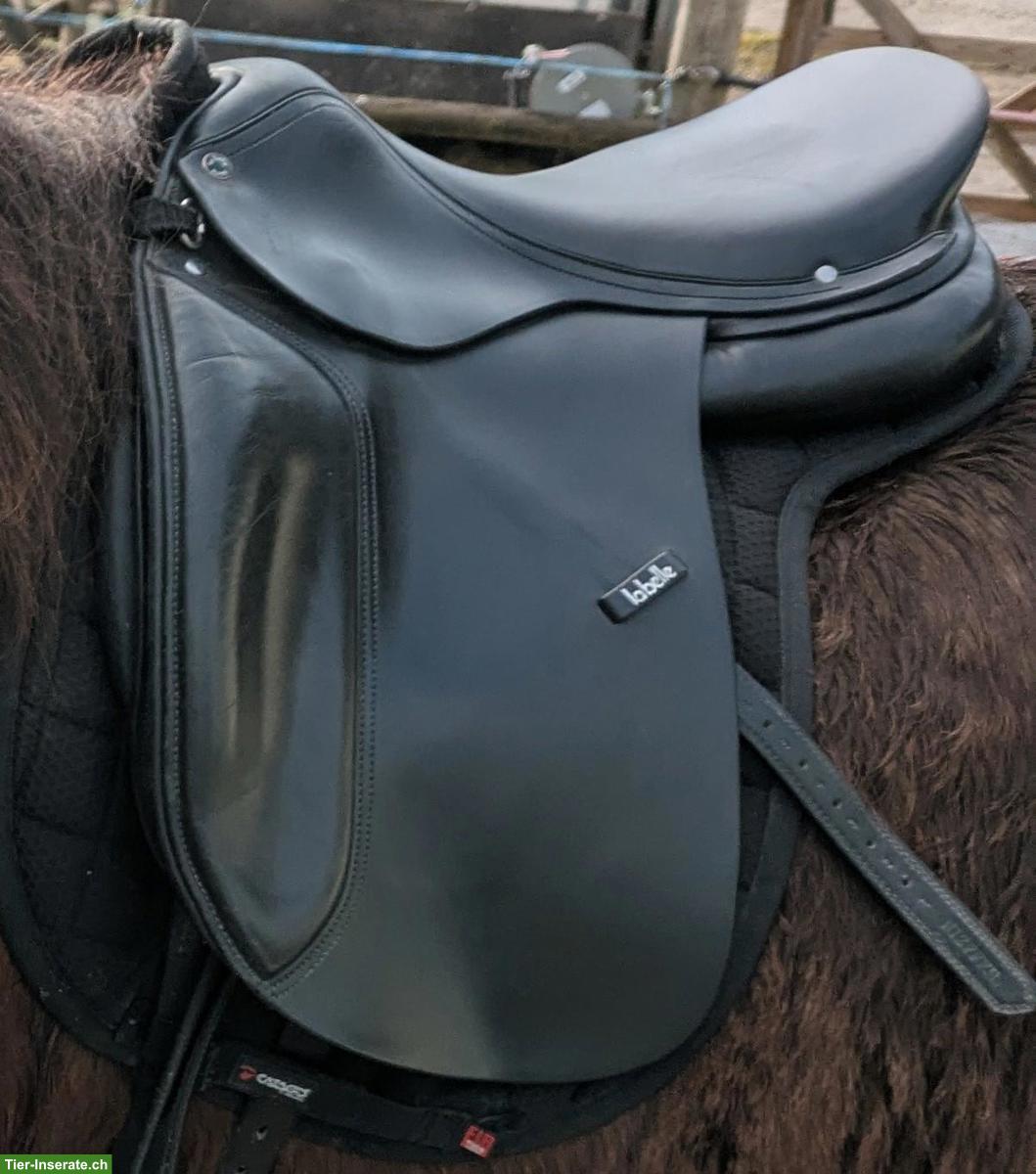 La Belle Sattel Island 17.5 Zoll zu verkaufen