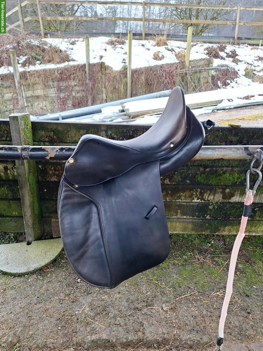 Labelle VS/Dressursattel zu verkaufen