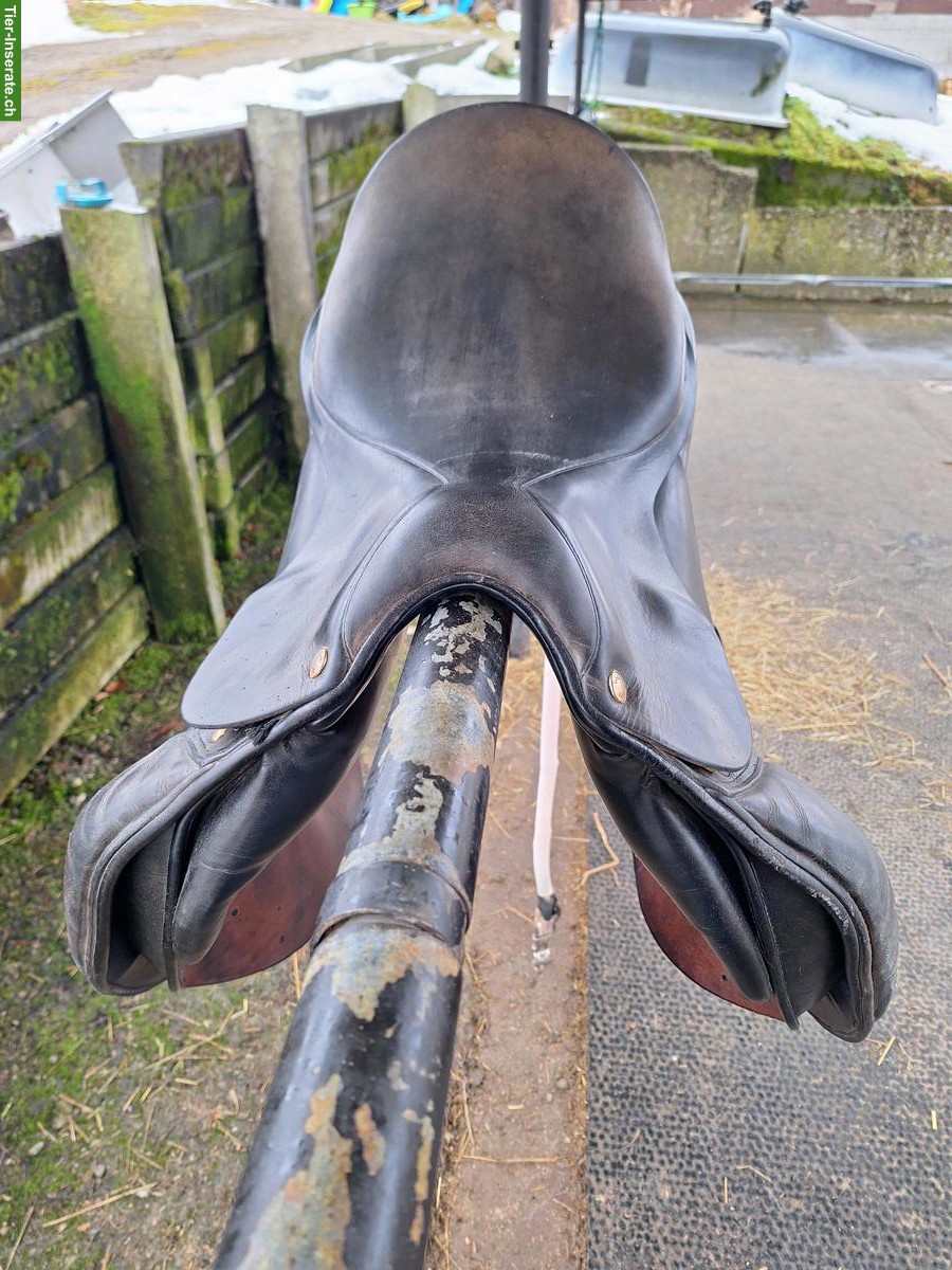 Bild 2: Labelle VS/Dressursattel zu verkaufen