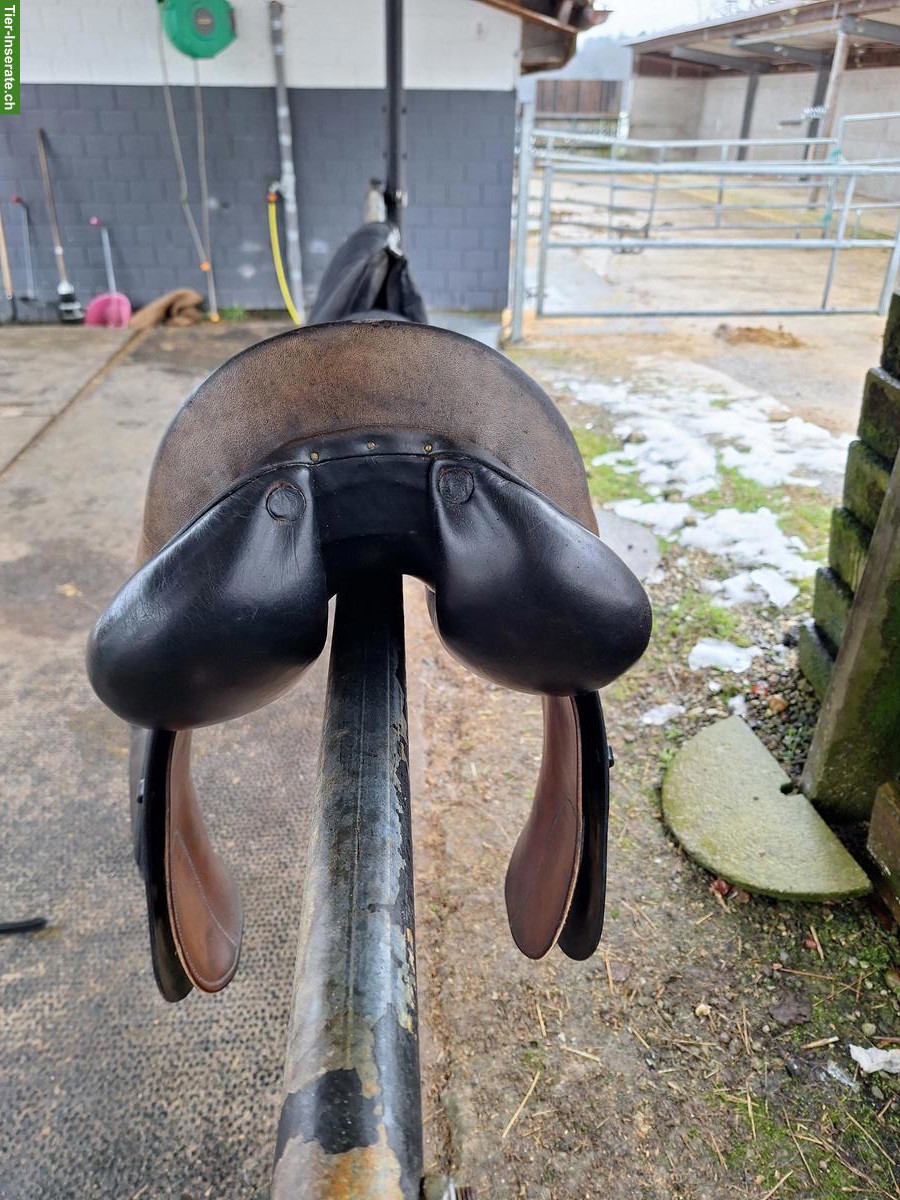 Bild 3: Labelle VS/Dressursattel zu verkaufen