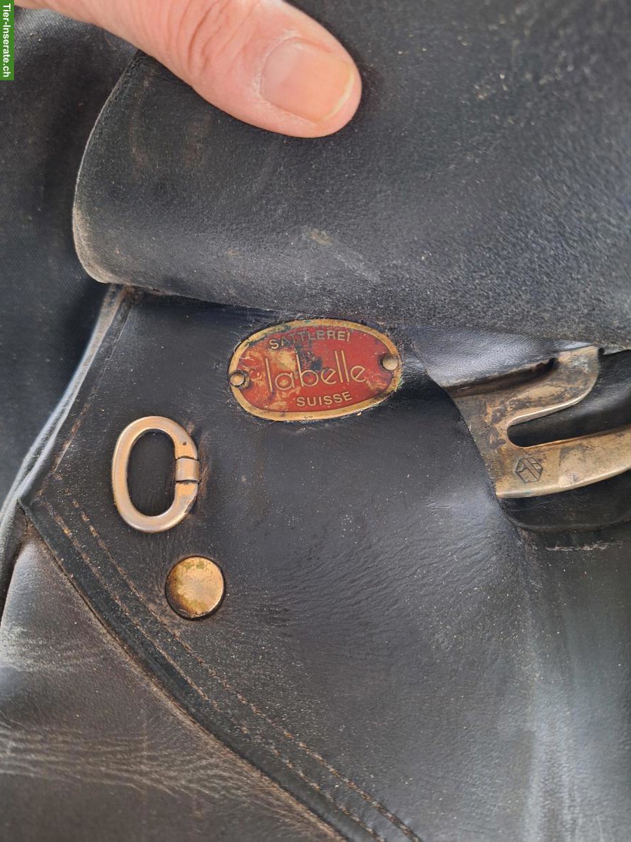 Bild 7: Labelle VS/Dressursattel zu verkaufen