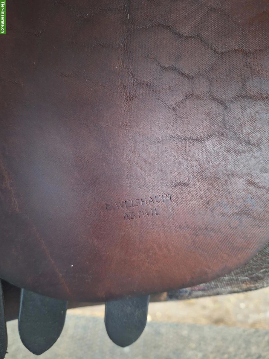 Bild 8: Labelle VS/Dressursattel zu verkaufen