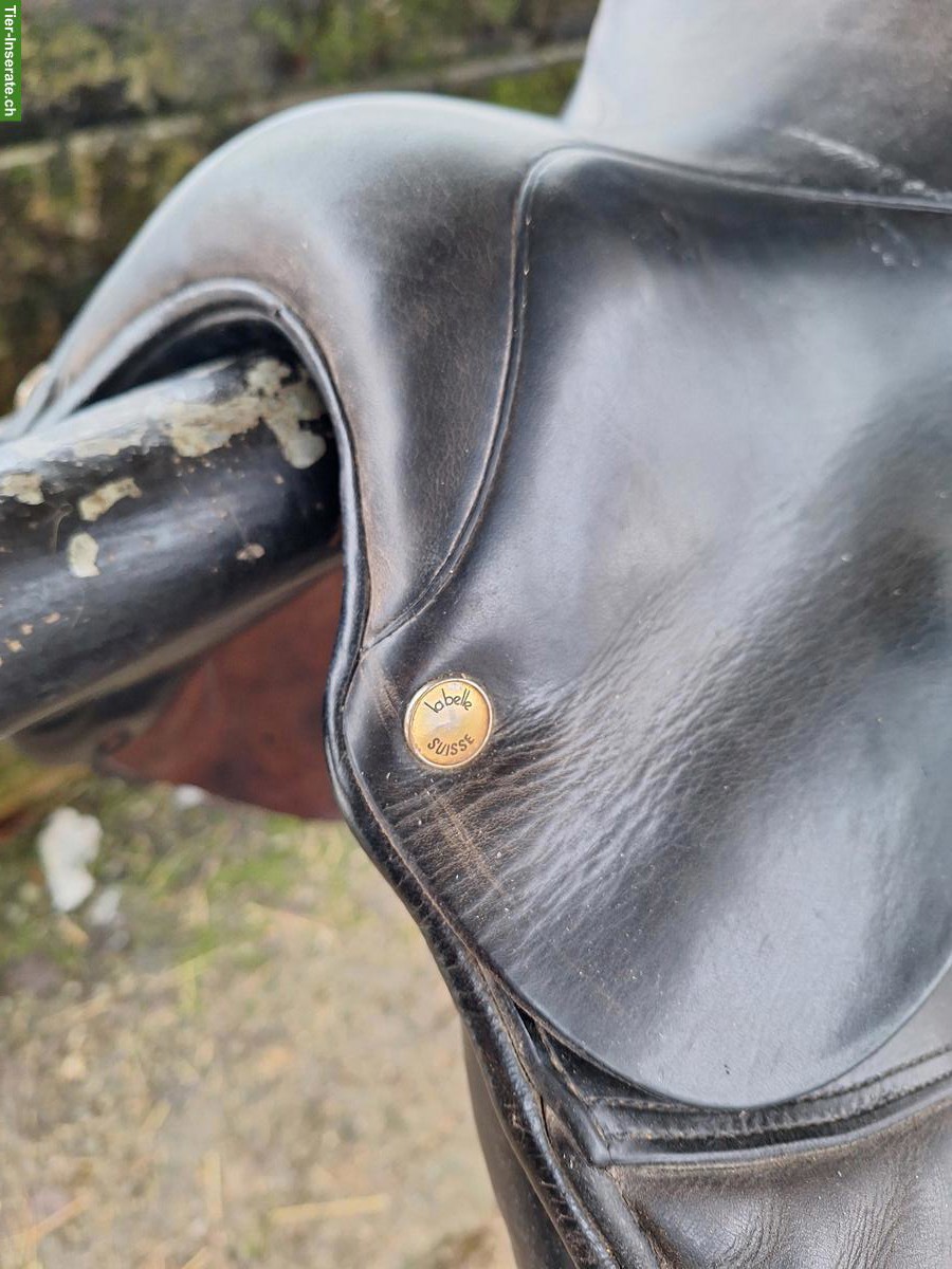 Bild 9: Labelle VS/Dressursattel zu verkaufen