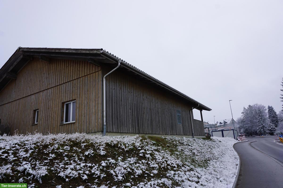 Bild 2: Pferdestall zu verkaufen, Elementbau auf Betonsockel