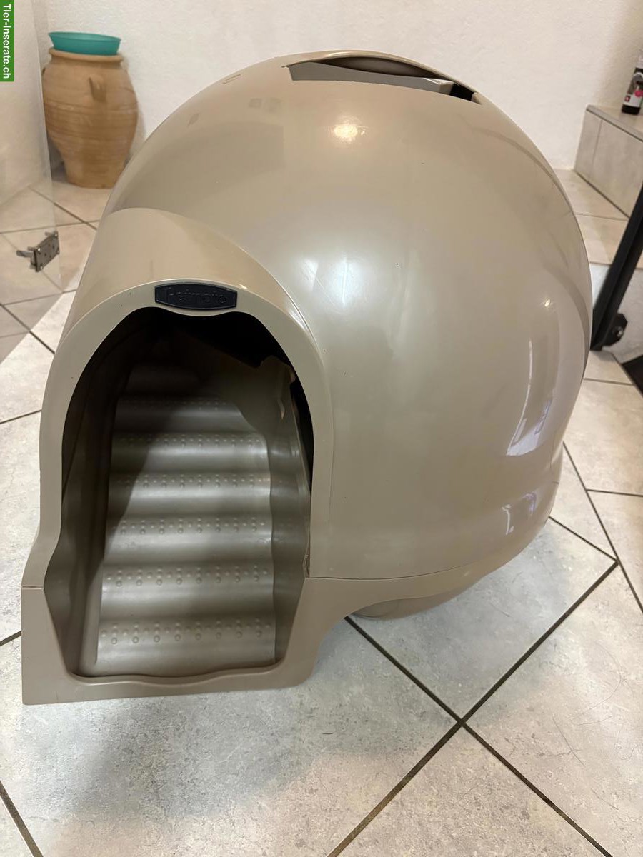 Originelle Katzentoilette zu verkaufen