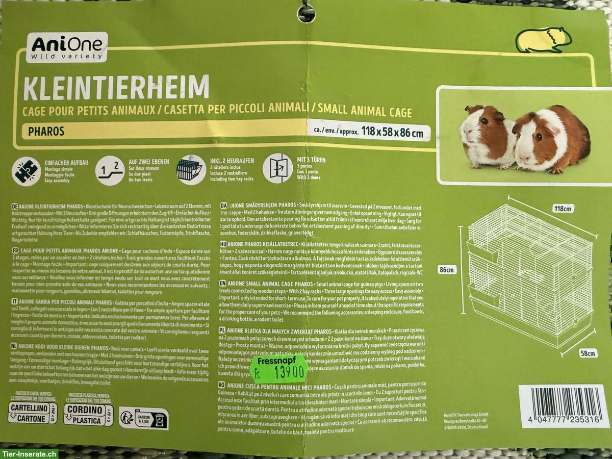 Bild 3: 2 Zwergkaninchen mit Käfig und allem Zubehör