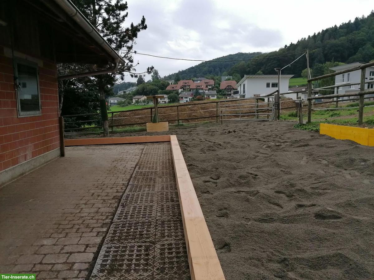 Bild 3: Offenstall-Platz frei in Kirchleerau AG