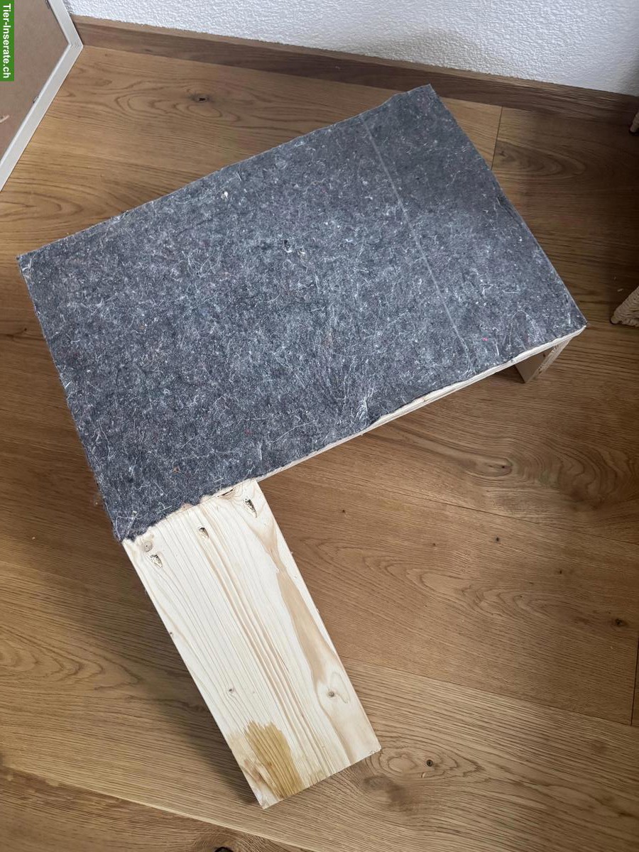 Bild 3: Junges Kaninchen mit Käfig, komplettes Starter-Set