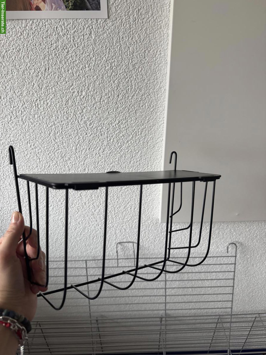 Bild 5: Junges Kaninchen mit Käfig, komplettes Starter-Set