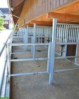 2-3 Auslaufboxen frei mit eigener Weide in Spreitenbach AG