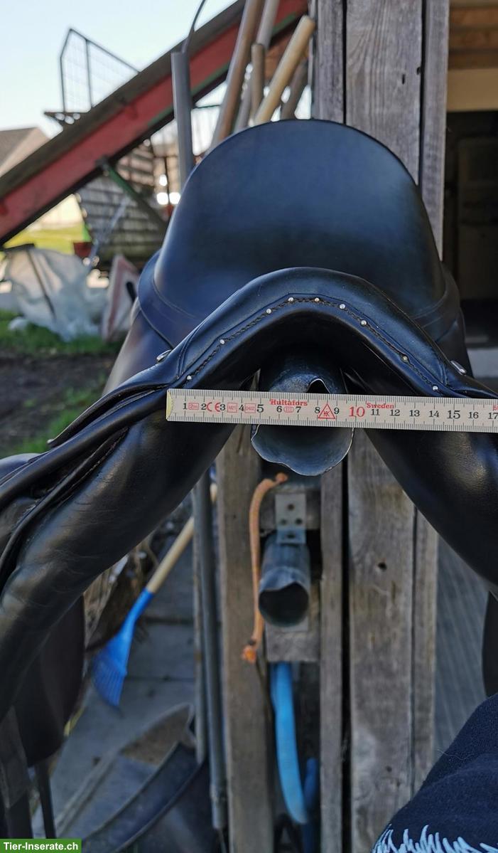 Bild 3: Dressursattel EquiNomic 16 Zoll inkl. Gurt, Bügel & Pad