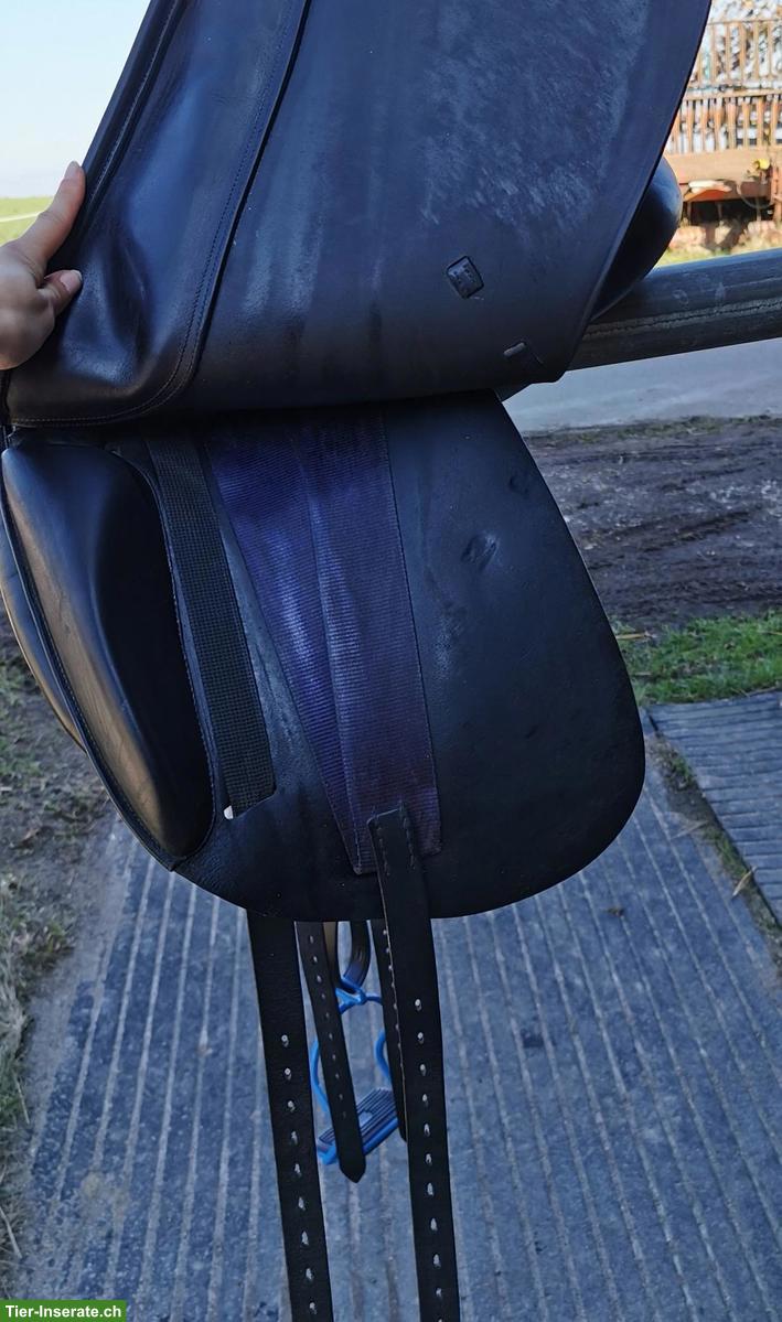 Bild 4: Dressursattel EquiNomic 16 Zoll inkl. Gurt, Bügel & Pad
