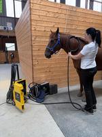 Pulsierendes Magnetfeldtherapie-Gerät für Pferde | PULSMAG