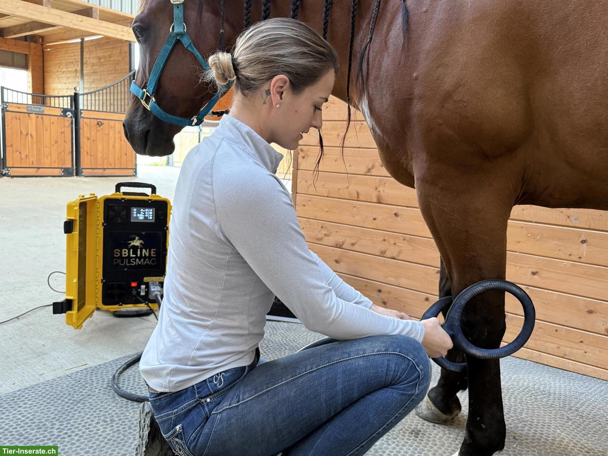Bild 2: Pulsierendes Magnetfeldtherapie-Gerät für Pferde | PULSMAG