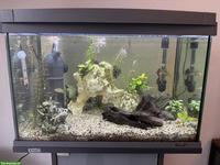 Tetra Aquarium 60L mit Vollbesatz & Unterschrank