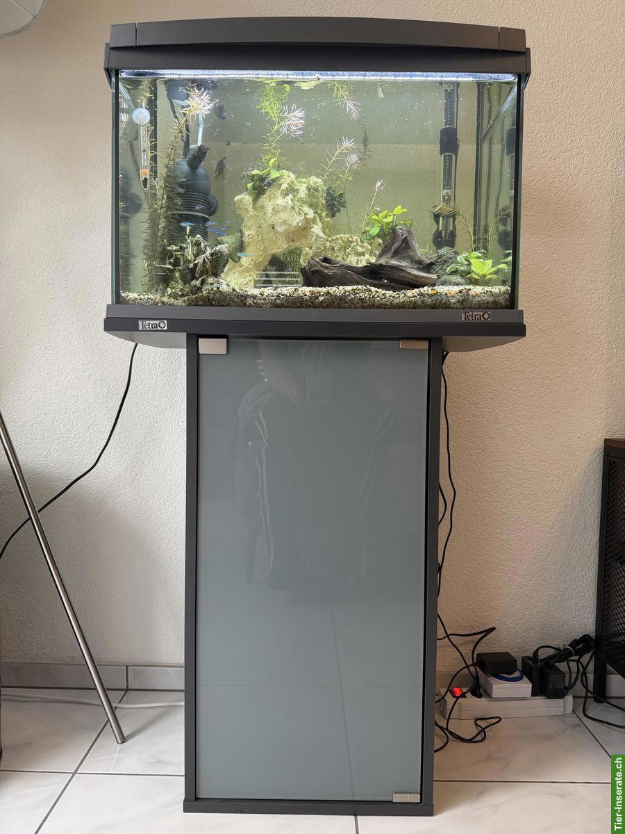 Bild 2: Tetra Aquarium 60L mit Vollbesatz & Unterschrank