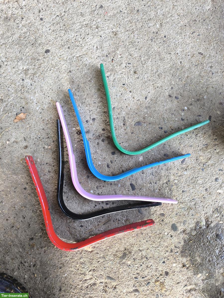 Bild 2: Wintec 2000 Sattel zu verkaufen inkl. mehreren Kopfeisen