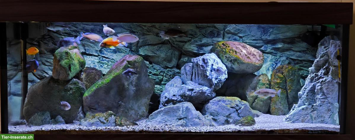 Bild 5: Rockzolid Riverstone, Back to Nature, Aquarium Deko