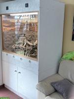 Wüstenterrarium zu verkaufen