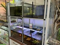 Aquarium/Zucht-Aquarien zu verkaufen
