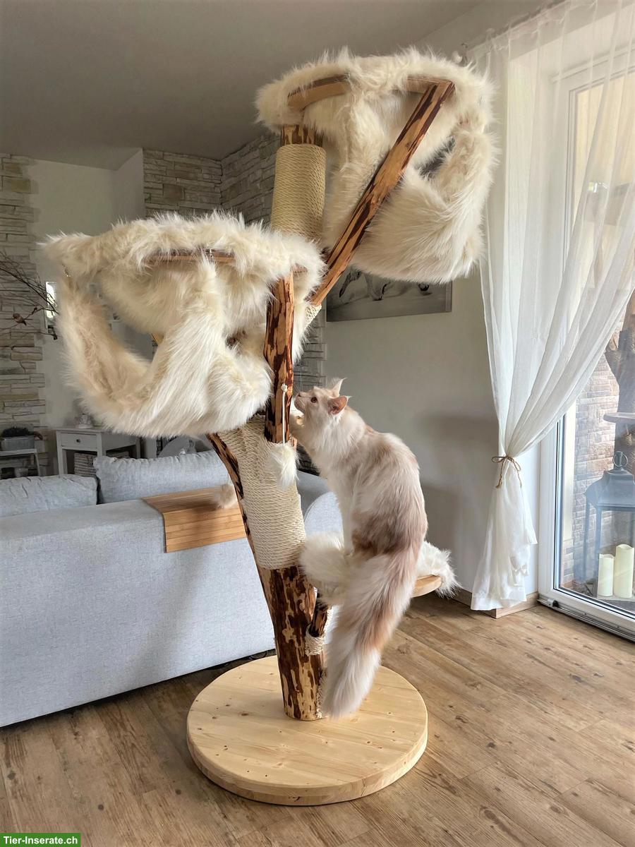 Bild 3: NATURHOLZ Katzenbaum Kratzbaum MASSIV HANDWERK TOP