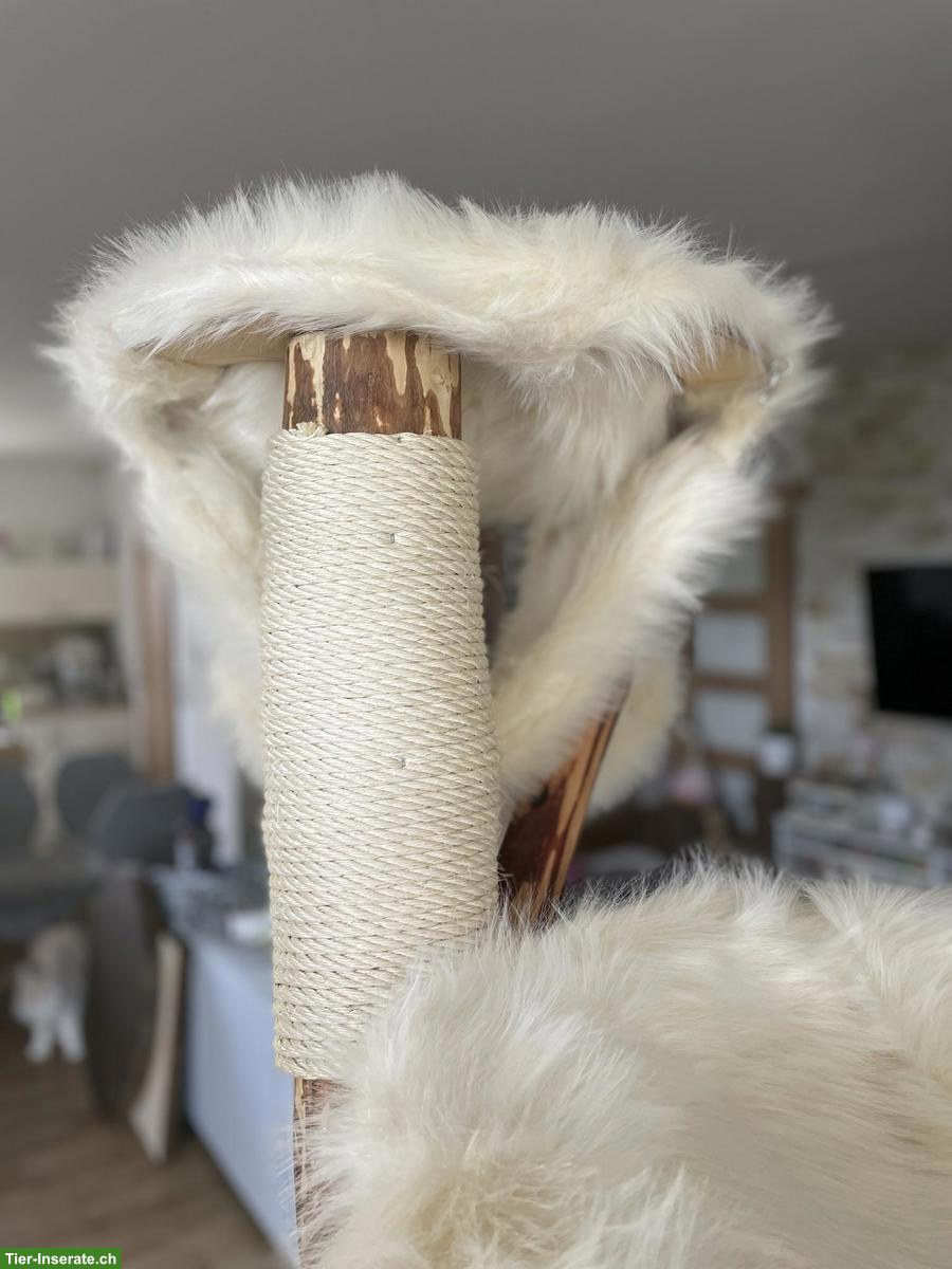 Bild 7: NATURHOLZ Katzenbaum Kratzbaum MASSIV HANDWERK TOP