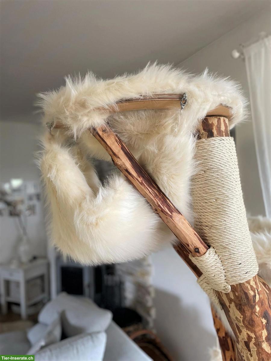 Bild 8: NATURHOLZ Katzenbaum Kratzbaum MASSIV HANDWERK TOP