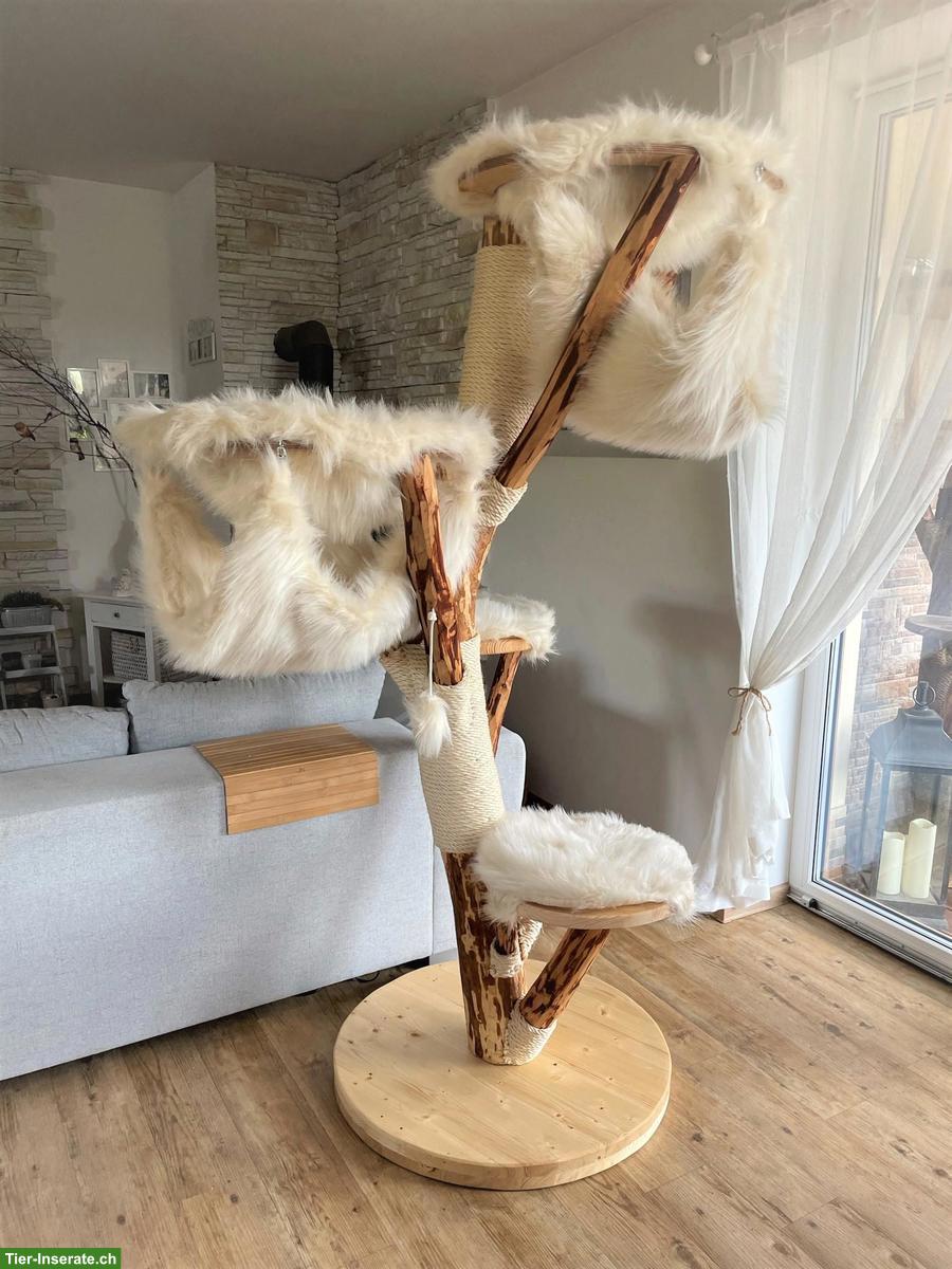 Bild 9: NATURHOLZ Katzenbaum Kratzbaum MASSIV HANDWERK TOP