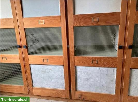 Kaninchenstall für grosse Rassen, 6 Einzelboxen